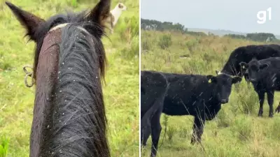 São José dos Ausentes tem chuva congelada com frio de 6ºC no RS
