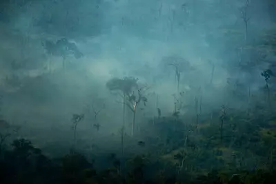 STF intima União e estados sobre risco de incêndios florestais em 2026