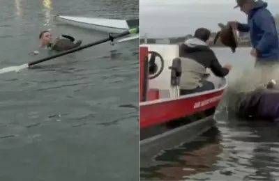 Tartaruga-marinha presa em rede é resgatada por atletas de remo em Florianópolis