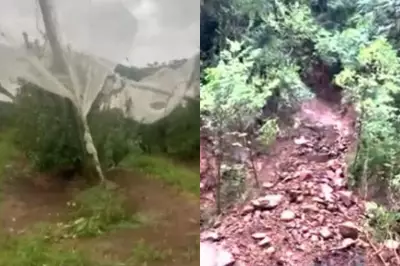 Temporal em São Joaquim: vento destelha casas e danifica pomares de maçã