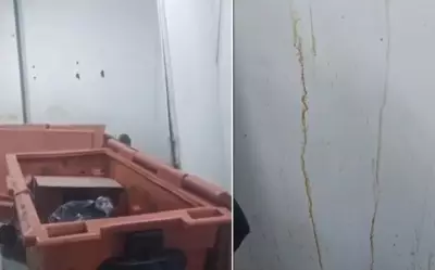 Vídeo flagra ratos e sangue em UPA de Cabo Frio; prefeitura promete melhorias