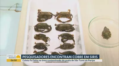 Vídeos do G1 e TV Bahia: terça-feira, 12 de maio de 2026