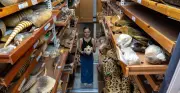 Acervo de mamíferos do Museu Goeldi é o terceiro maior da América do Sul