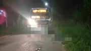 Acidente entre moto e ônibus mata dois homens em Piraí, RJ