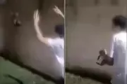 Adolescente é filmado arremessando gato em canal em Praia Grande, SP