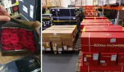Aeroporto de Viracopos recebe 26,5 toneladas de flores para o Dia das Mães