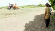 Agricultores familiares iniciam plantio da safra 2026 de milho em Boa Vista