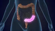 Antibióticos e saúde intestinal: como proteger a flora durante o tratamento