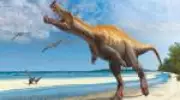 Após décadas, fóssil de dinossauro Irritator challengeri retorna ao Ceará
