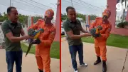 Arara-canindé ferida por carreta na BR-070 é resgatada e passa por atendimento veterinário