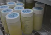 Banco de Leite em Palmas precisa de doações para UTIs neonatais do TO