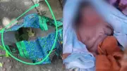 Bebê recém-nascido é abandonado em sacola de feira em Guarapari