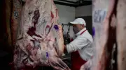 Brasil reage com surpresa a veto europeu a exportações de origem animal