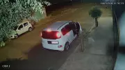 Cachorro corre atrás de carro ao ser abandonado por tutor em Ribeirão Preto