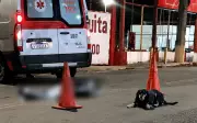 Cachorro fica ao lado de tutor morto após atropelamento em Alfenas (MG)