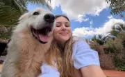 Cachorro Otto inspira lei que proíbe fogos com barulho em Ribeirão Preto