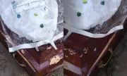 Caixão atacado a tiros na BA foi enterrado sem perícia; adolescente morto