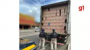 Caminhoneiro é preso com 517 mil maços de cigarros contrabandeados na BR-343