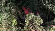 Caminhonete cai em ribanceira de 7 metros na MG-233; motorista sai ileso