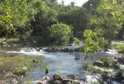 Camping Ana Júlia: refúgio de águas cristalinas no TO é o 'Caribe do Cerrado'