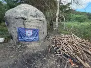 Carvoaria ilegal é flagrada e 40 sacos de carvão são apreendidos em Cardoso Moreira