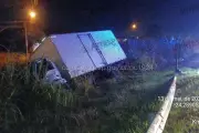 Cavalo morre atropelado por caminhão em rodovia de Peruíbe
