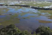 Censo Agropecuário 2027: IBGE testa coleta em Corumbá e outras 5 cidades