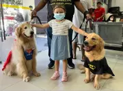 Cães super-heróis alegram crianças com câncer em hospital de Belém