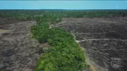 Câmara aprova pacote do agro que fragiliza fiscalização ambiental