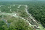 Câmara aprova projeto que reduz área protegida da Floresta do Jamanxim