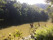 Corpo de homem de 35 anos é encontrado no Rio Paraíba em Guararema