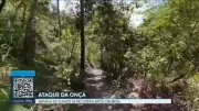 DF2: Vídeos e notícias de sexta-feira, 15 de maio de 2026