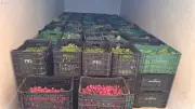 Divisão de Agricultura fortalece produção familiar e desenvolvimento rural