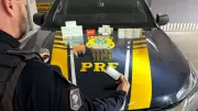 Dupla é presa com anabolizantes escondidos em fundo falso no porta-malas em Jacareí