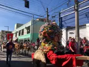 Entrada dos Palmitos altera trânsito e transporte em Mogi das Cruzes neste sábado