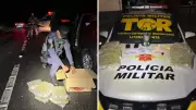 Espanhol é preso com 4,2 kg de flor de maconha na Rodovia Oswaldo Cruz em Ubatuba