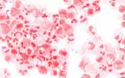Especialista alerta para importância da vacinação contra meningite