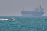 EUA negam que Irã use golfinhos kamikaze no Estreito de Ormuz