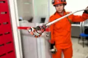 Falsa-coral é resgatada em sala de aula do IFMT em Confresa