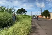Falta de limpeza em terrenos pode gerar multa de até R$ 12,8 mil em Campo Grande