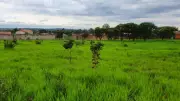 Governo de Minas leiloa imóveis públicos em Uberlândia, Uberaba e Patos de Minas