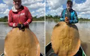 Guia captura arraia gigante de 1,3 metro no Rio Araguaia em Goiás