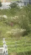 Homem é detido após se masturbar em via pública em São Pedro da Aldeia
