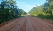 Ibama autoriza construção de três pontes no trecho crítico da BR-319