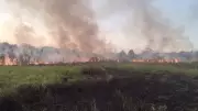 Incêndio em vegetação mobiliza bombeiros em Vera Cruz (SP)