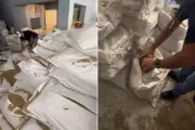 Iranianos são presos com 180 kg de cocaína em sacas de café em Santos