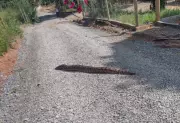 Jiboia de 2 metros é resgatada em quintal de sítio em Arcos, MG