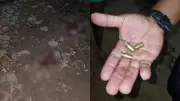 Jovem é baleado na cabeça em ataque a tiros no PI; suspeitos fogem