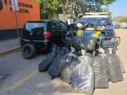 Jovem preso com 100 kg de maconha após perseguição na Via Dutra