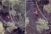Jovem é preso escondido em mangue com 3 kg de crack em Cubatão